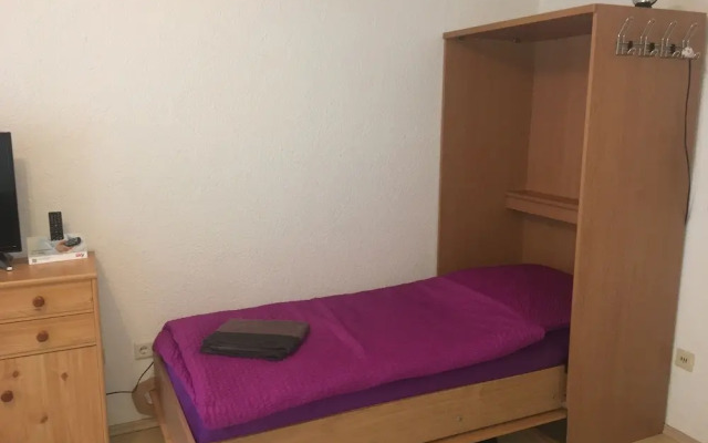 Apartmenthaus "Zum Löwen" Heidelberg - Ziegelhausen