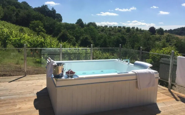 Villa Pongina with private pool