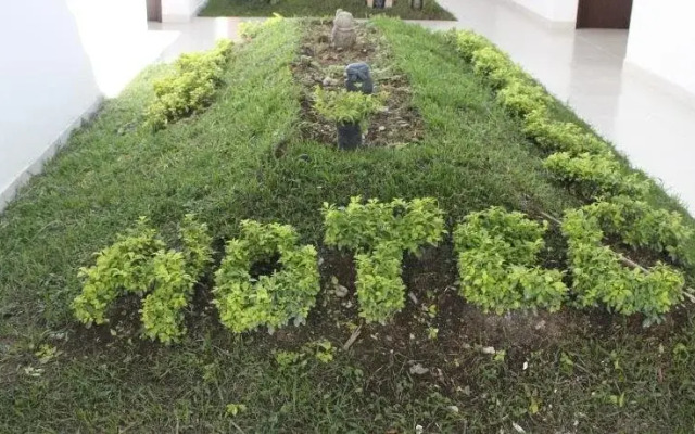 Hotel Las Piedras San Jose