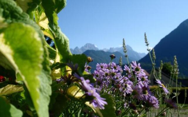 Apartments Triglav