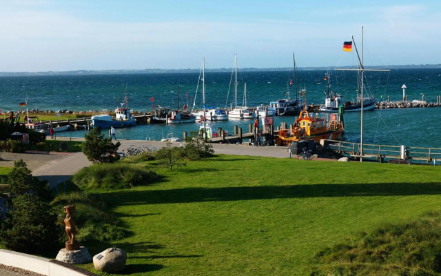 Haus Südwester Seeanemone