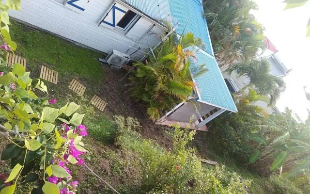 studio dans un écrin vert