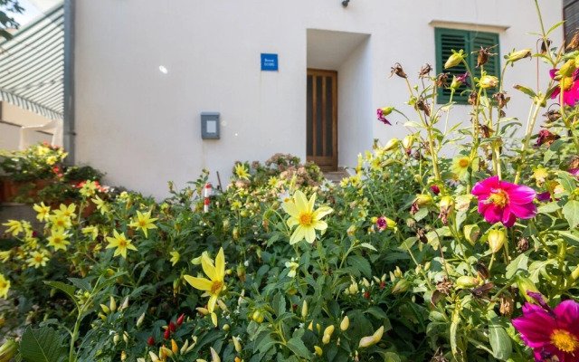 Apartments Tolj