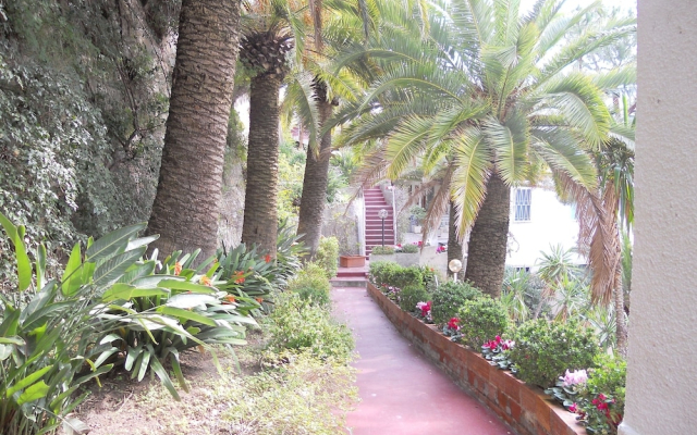 Apartments Solaria 1 2 Ospedaletti Ligure By Sanremo Italian Riviera