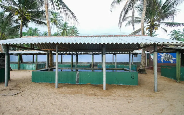 OYO 397 Sea Beach Inn