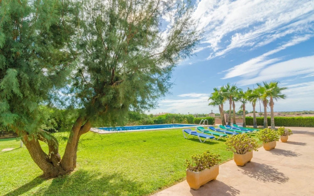 Torre Marina (Alga Marina)