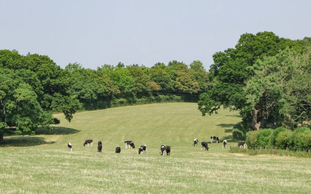 Tilia Barn