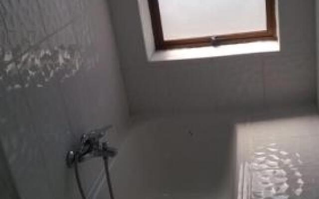 Pingüino En La Roca Cabañas