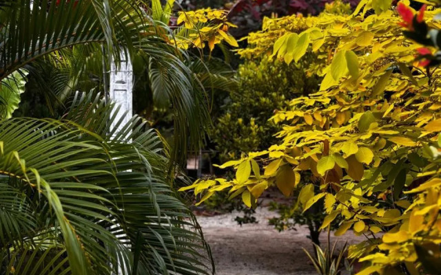 Ubay Guest House