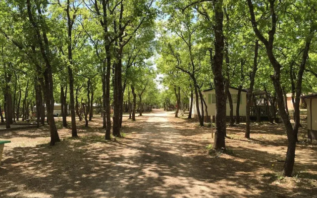 Domaine des Chênes Blancs - Camping