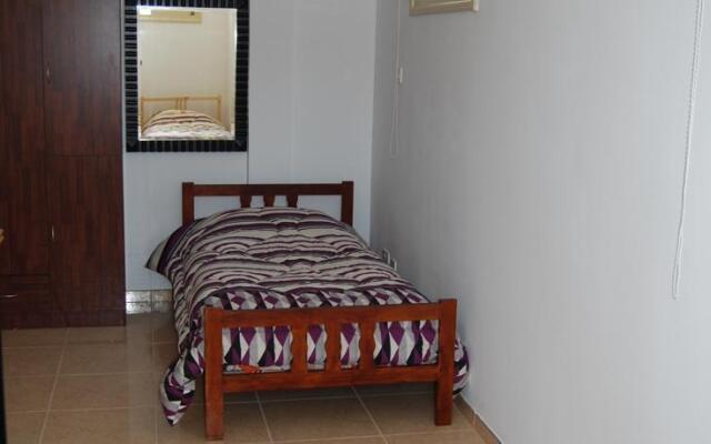 The Old Olive Tree House