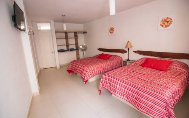 Carola Lodge