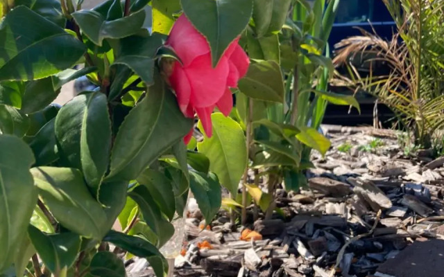 camping de la mottelette