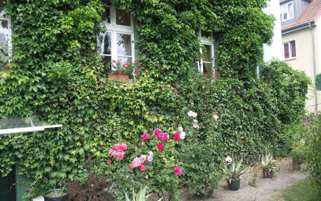 Hotel Zur Alten Oder Frankfurt