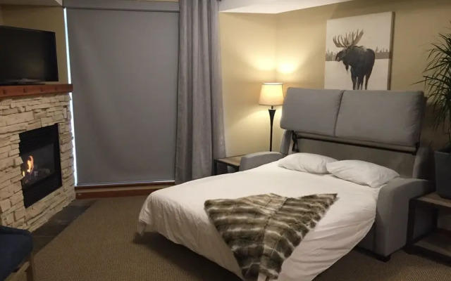 Beautiful Spacious Mountain Studios