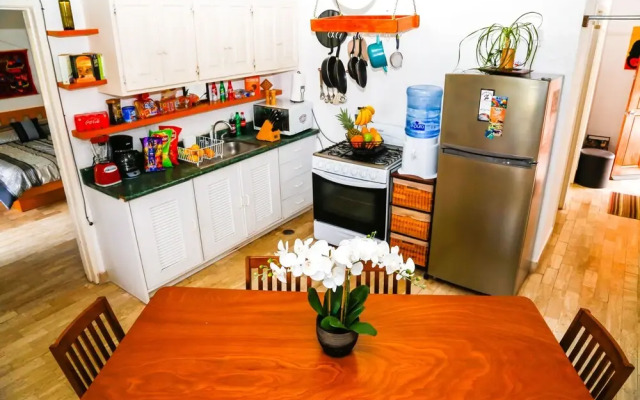 Hostel Natura