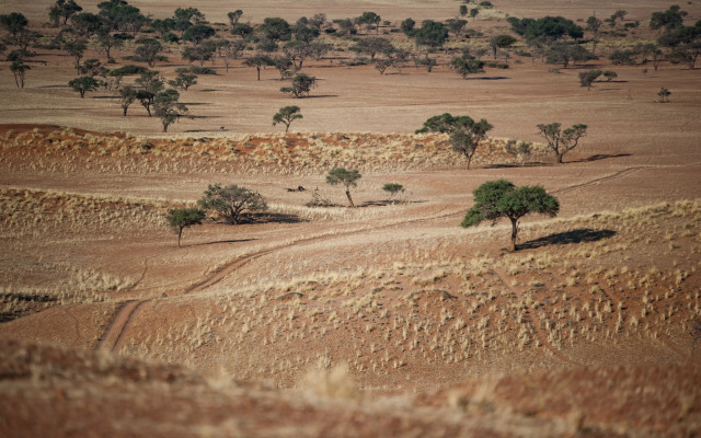 Namib Desert Lodge