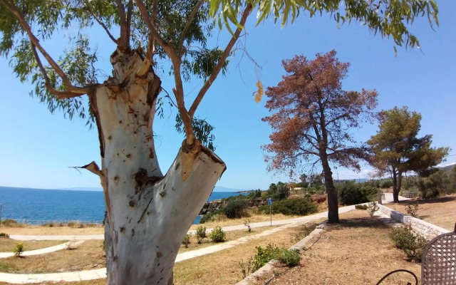 Stoupa Properties Rooms