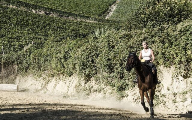 Agriturismo Le Querce del Vareglio