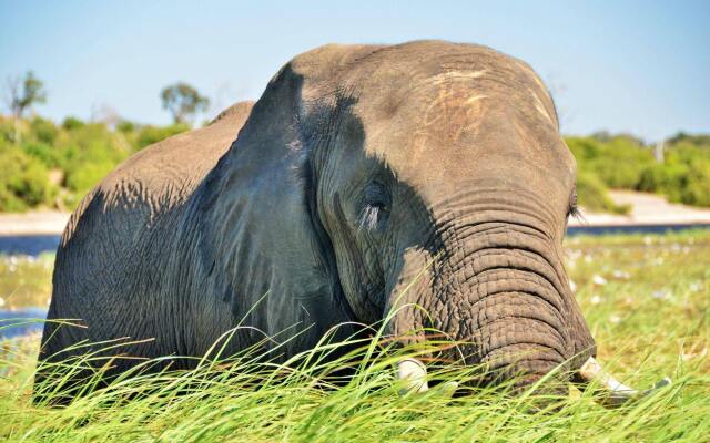 Thebe River Safaris