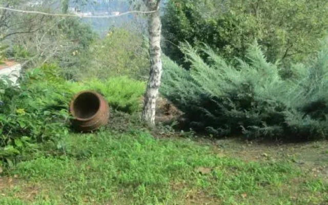 Quinta De Abol De Baixo