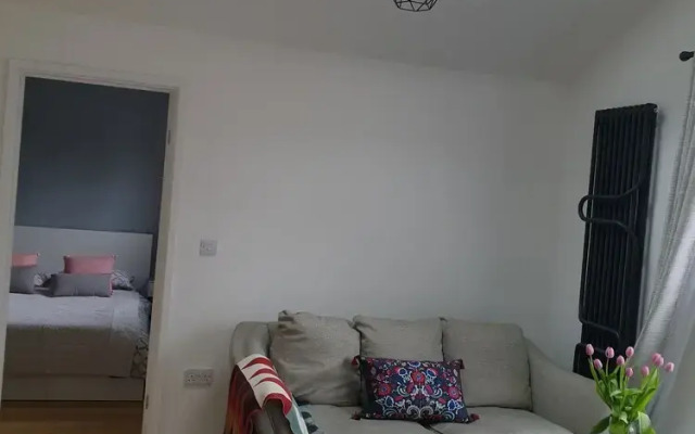 Stunning 1-bed Apartment in Nottingham