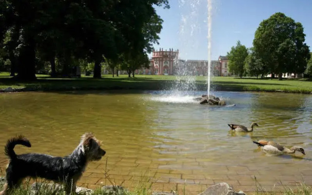 Hotel am Schlosspark