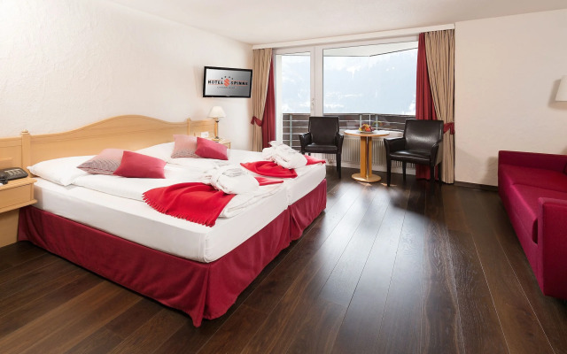 Hotel Spinne