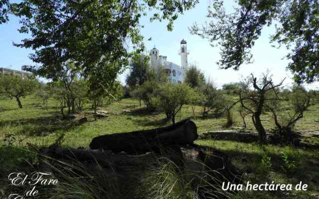 El Faro de Carpier