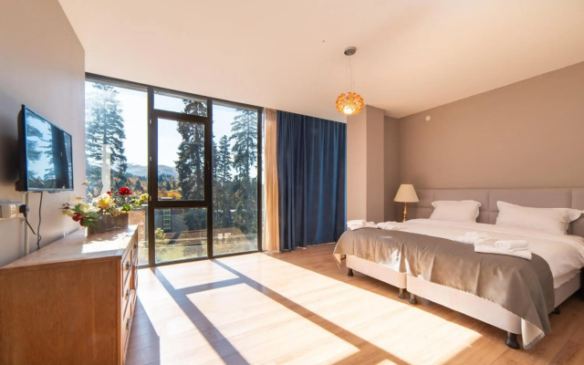 Grand Noel Bakuriani