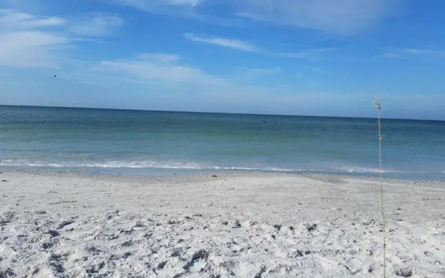 Madeira Bonita Apartment #6