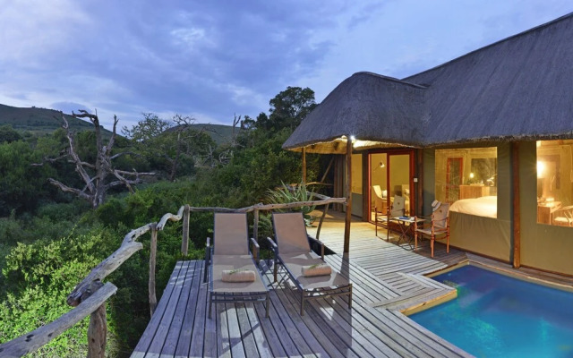 Shamwari Bayethe