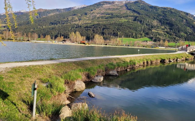 Profelt`s Apartments Uttendorf Steinbock Lodges