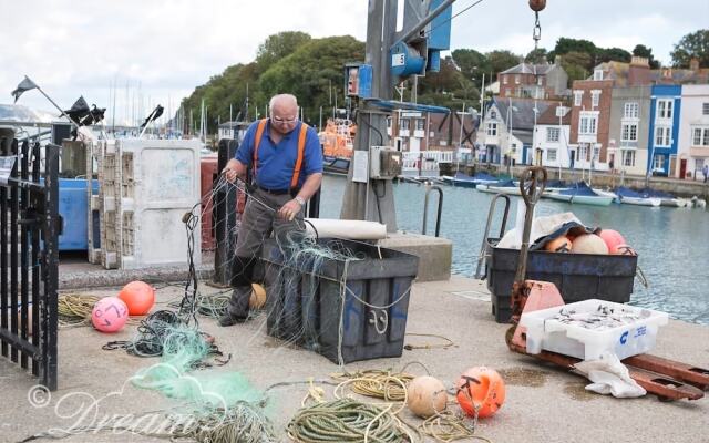 Maison Port, Weymouth