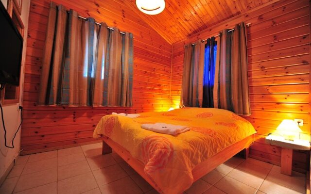 Arbel Holiday Homes