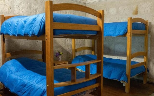 Lion AQP hostel