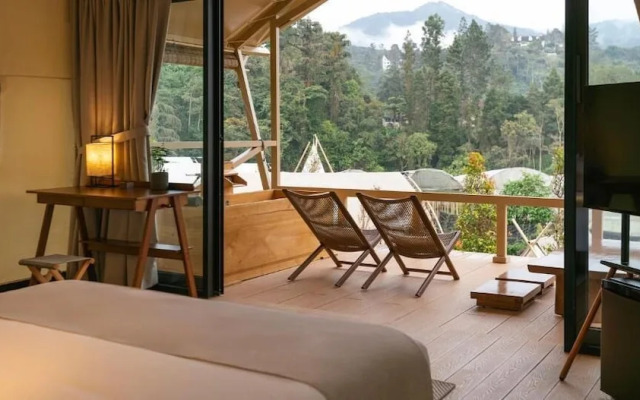 Zen By Stellar Cameron