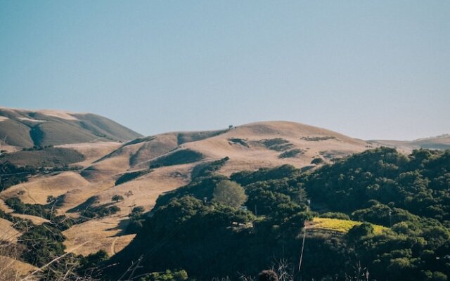 Holman Ranch Estate Vineyard & Winery