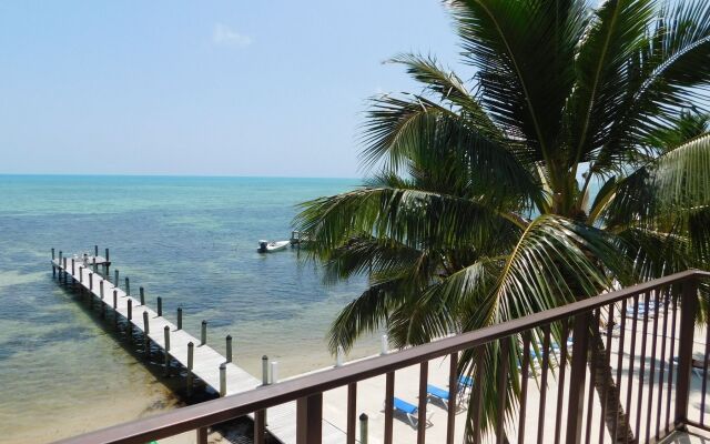 Pines & Palms Resort