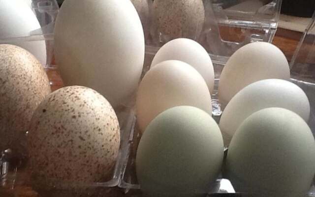 Tentrr â Hill Top Camp