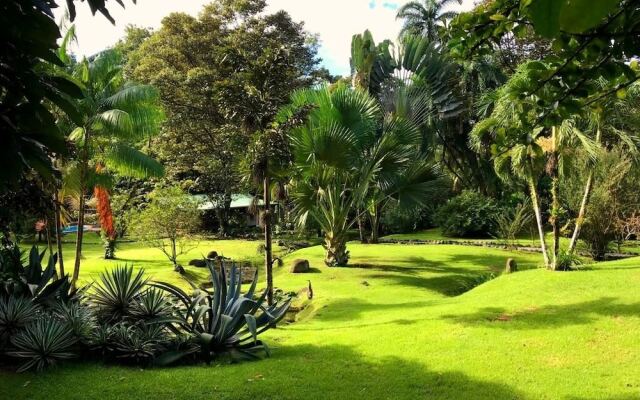 Buena Onda Jungle Lodge