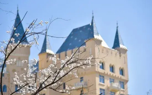 Zhengzhou Yinji Ice and Snow Hotel