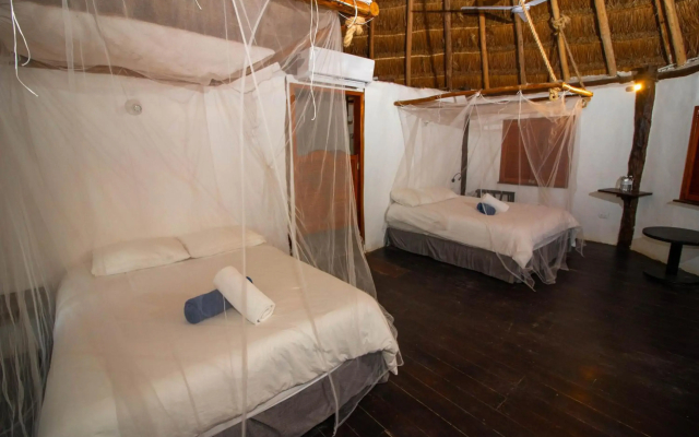 Blue Holbox