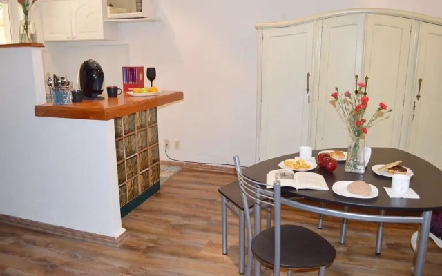 Cozy Porfirian Loft in the best location