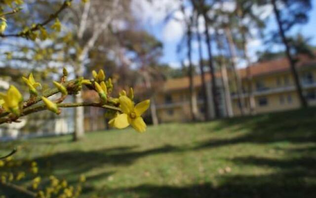 Waldhotel am See