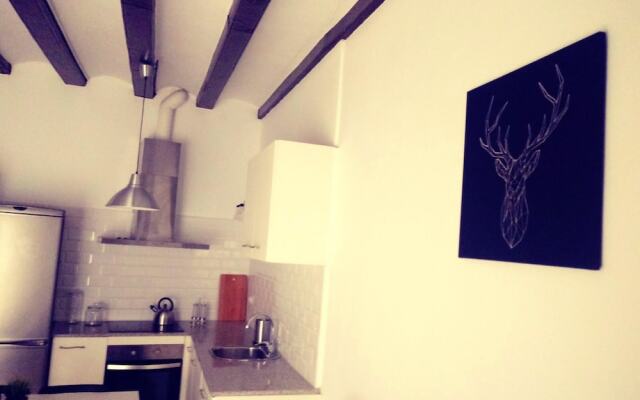 Apartment With 2 Bedrooms In Barcelona With Balcony And Wifi