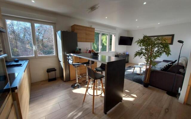 Superbe appartement au centre de St Jorioz