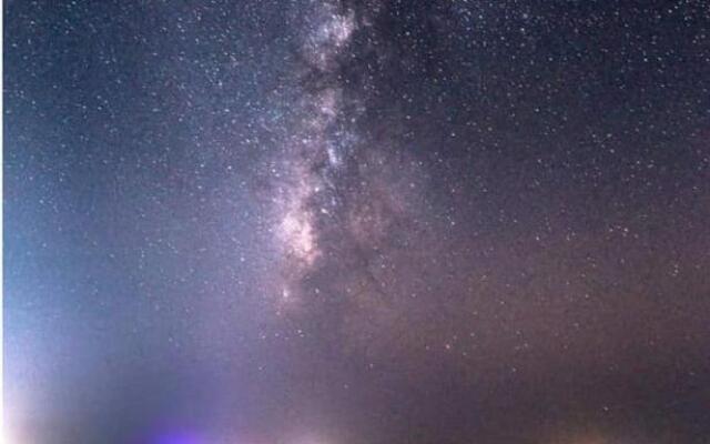 Wild Heritage Desert Camp