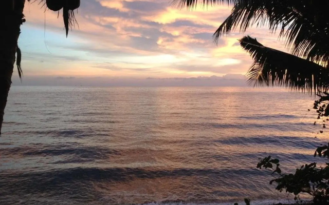 Paradise Palms