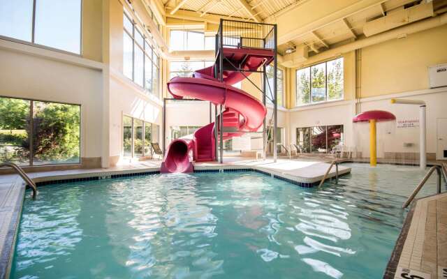 Comfort Inn & Suites